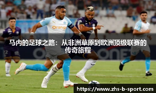 B体育